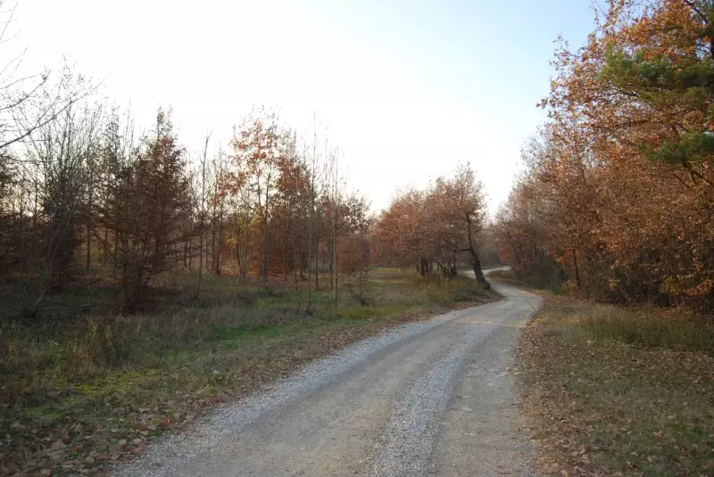 Colori d'autunno nei boschi di Sommariva Perno