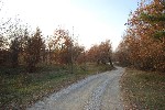 Colori d'autunno nei boschi di Sommariva Perno